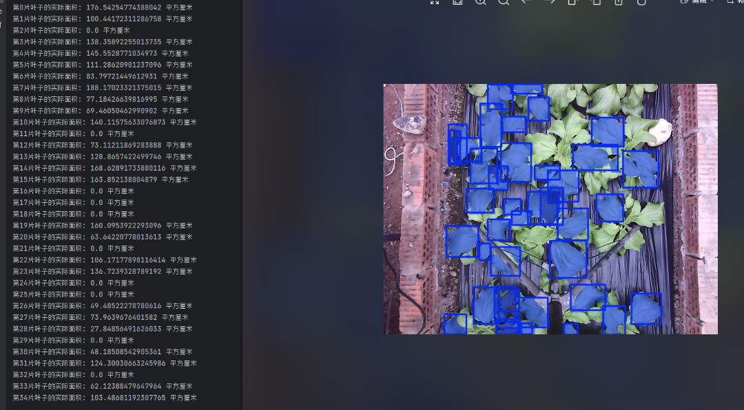 博源国际(中国)有限公司官网